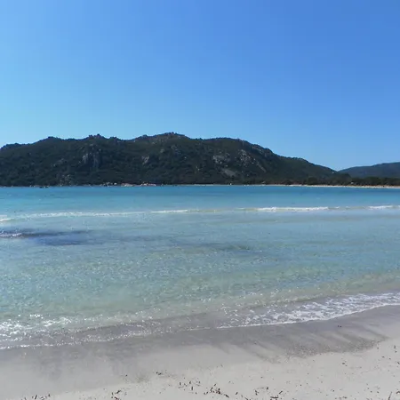 شقة Dormir A Porto Vecchio T3 7 Pers Piscine Plage A 20 Min *