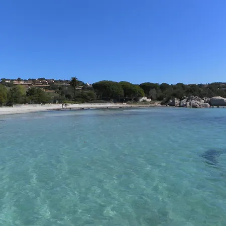 Dormir A Porto Vecchio T3 7 Pers Piscine Plage A 20 Min *
