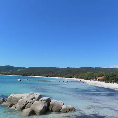 Dormir A Porto Vecchio T3 7 Pers Piscine Plage A 20 Min